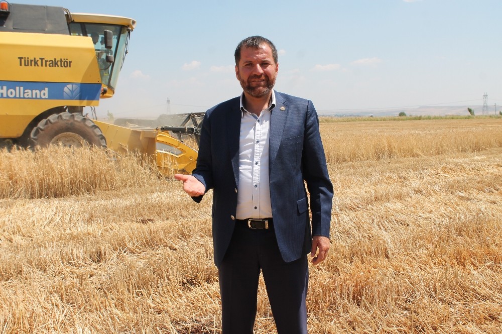Diyarbakır’da yılın ilk buğday hasadı yapıldı 