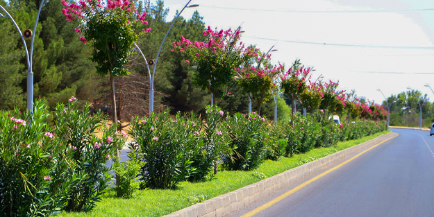 Diyarbakır'da yollar tablo gibi...