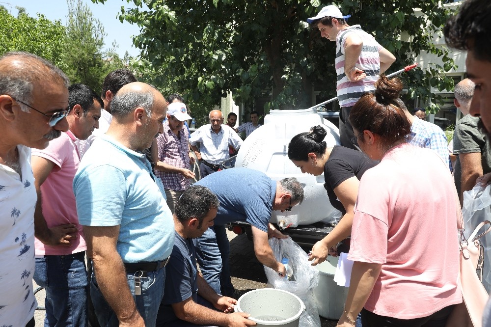 Diyarbakır’daki göletlere 121 bin sazan balığı yavrusu bırakıldı 