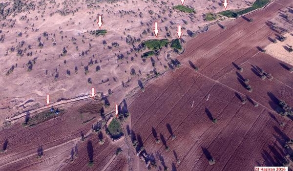 Diyarbakır'daki operasyonda 8.5 milyon liralık kenevir imha edildi