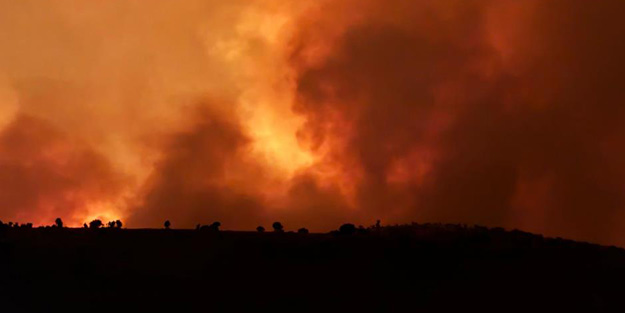 Diyarbakır'ın Çınar kırsalında büyük yangın!