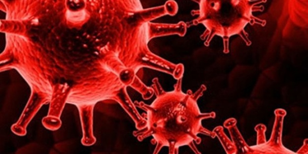 Kanserin en büyük düşmanı açıklandı