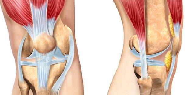 Diz proteziyle ağrısız ve hareketli bir yaşam mümkün