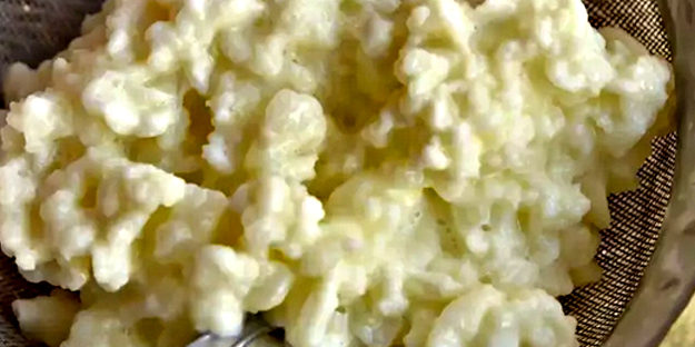 DNA hasarını onaran besin açıklandı: Şifa dolu dikkat bunu bilmeniz lazım! kanser hastalarına umut olabilir