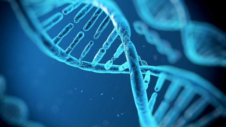 DNA onarımının kritik bileşeni bulundu