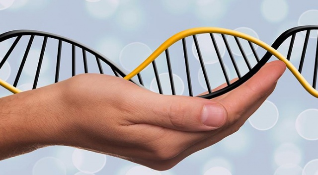 DNA robotlarının kontrolü için yeni sistem geliştirildi