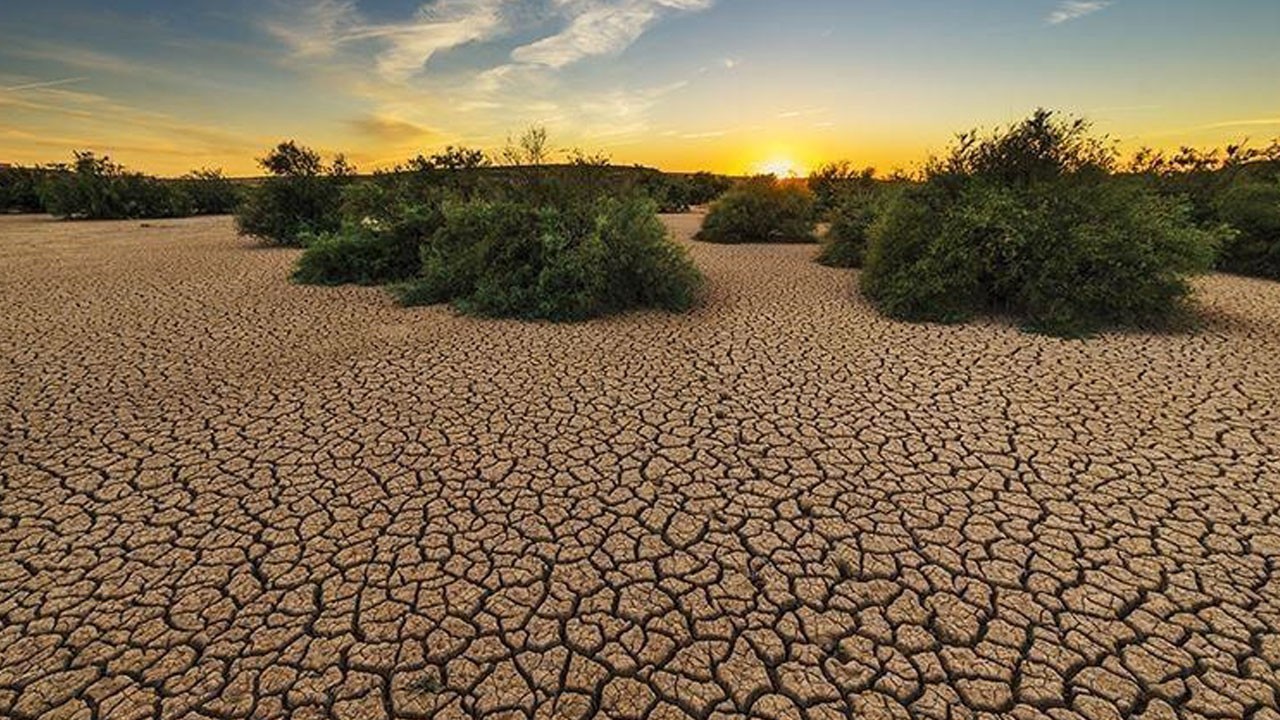 Doğa alarm veriyor! 150 yılda bin yıllık değişim