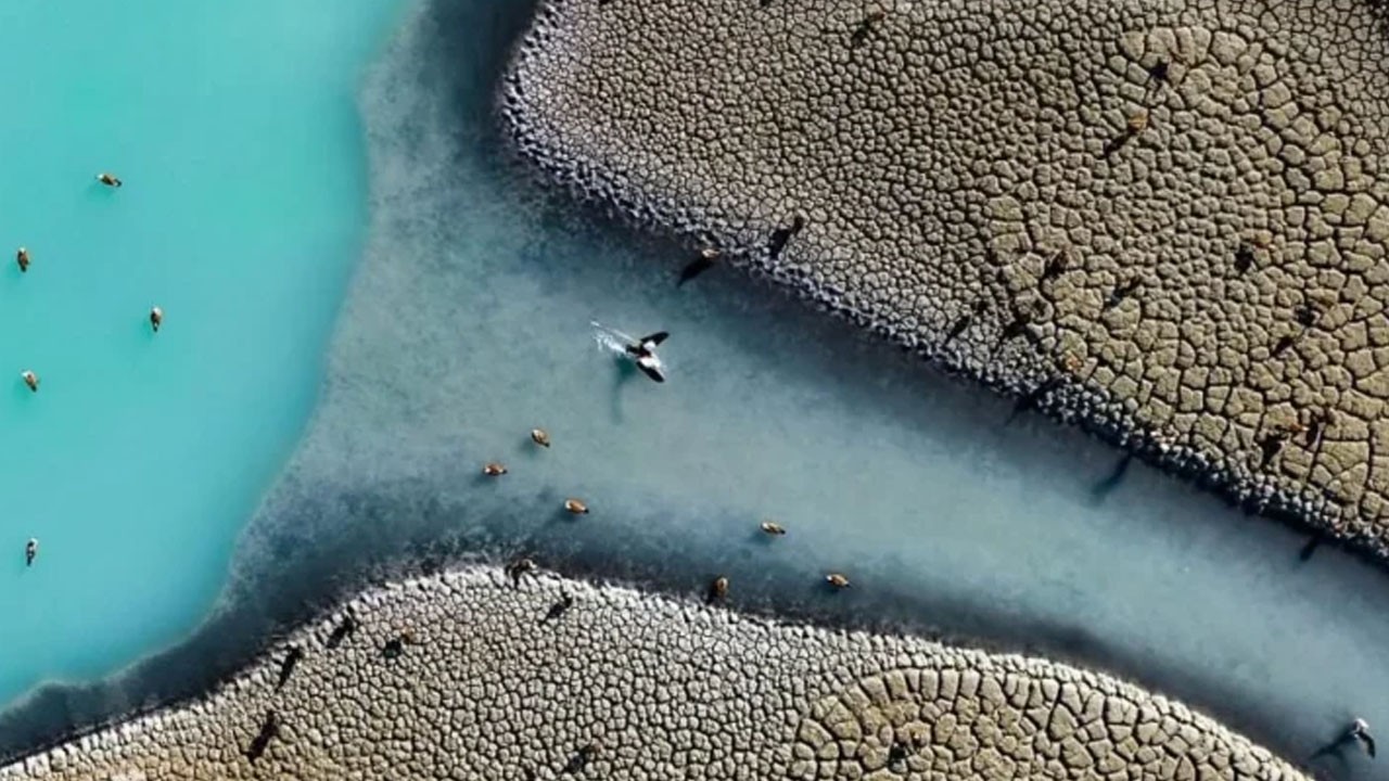 Doğa Fotoğrafı yarışması: Resmini çekebilir misin Fatih öğretmen? 1. oldu