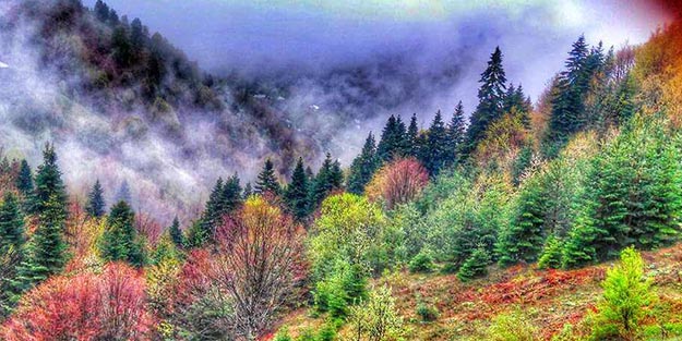 Doğa harikası Karadeniz köyü kaderine terk edilmek üzere!