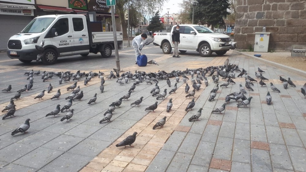 Doğa Koruma ve Milli Parklar Müdürlüğü hayvanları unutmadı 