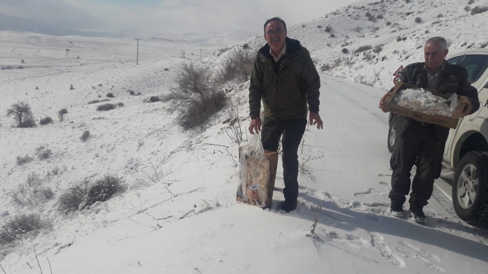 Doğa Koruma ve Milli Parklar Şube Müdürlüğü’nden yaban hayatına yem desteği 