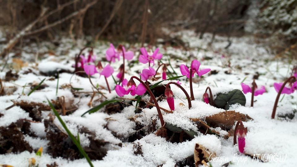 Doğa yürüyüşü eşliğinde fotoğraf yarışması 