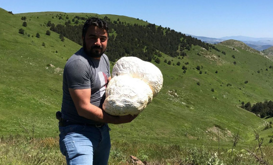 Doğa yürüyüşü sırasında buldu! Görünce ne yapacağını şaşırdı! Tamı tamına 12 kilo 300 gram