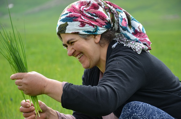 Doğada kendiliğinden yetişiyor! Kilosunu 100 TL'den satılıyor kapış kapış gidiyor