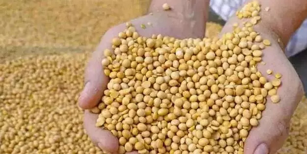 Doğadaki en güçlü besinlere rakip olacak! Uykuları kaçanlar: uyku kalitesi ve enerji için herkes bunu yapacak