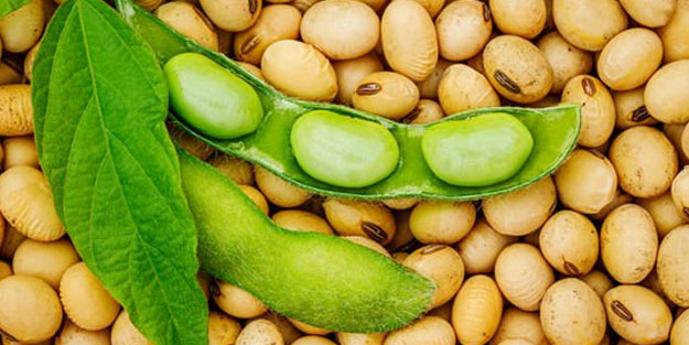  Doğadaki en güçlü D vitamini kaynağı: 1 aylık ihtiyacını 1 günde karşılıyor!