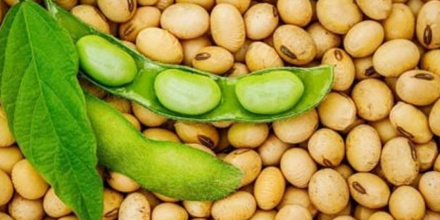 Doğadaki en güçlü D vitamini kaynağı: Herkesin bir numaralı tercihi oldu! Hiç duymadınız!