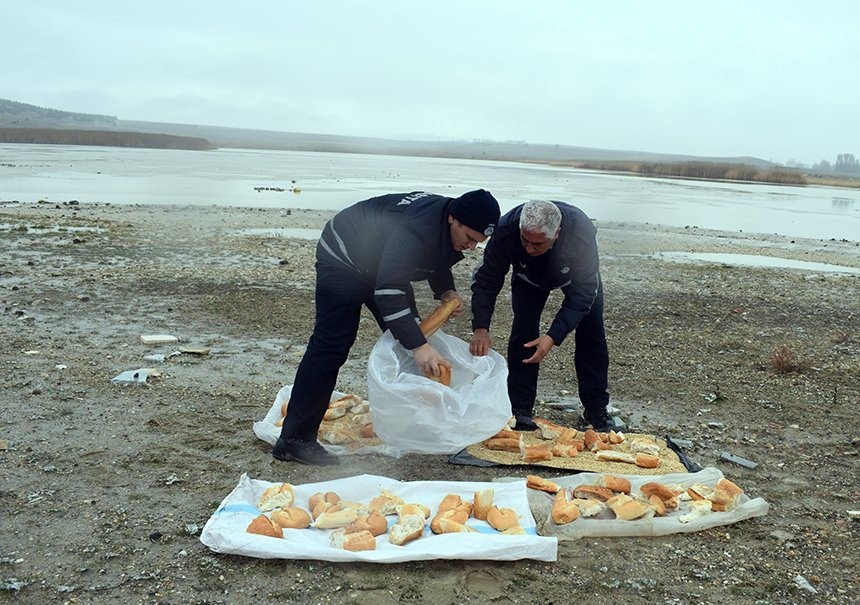 Doğadaki hayvanlar aç kalmasın diye yem bıraktılar 