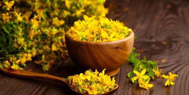 Doğal antidepresan sarı kantaronun faydaları saymakla bitmiyor
