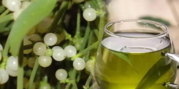 Doğal kemoterapi etkisi yaratan şifalı bitki: Şifayı kaptınız mı? Bu öneriler sizi ayağa kaldıracak! Mucize ot böyle iyi geliyor