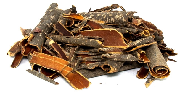 Doğal müshil barut ağacı kabuğu