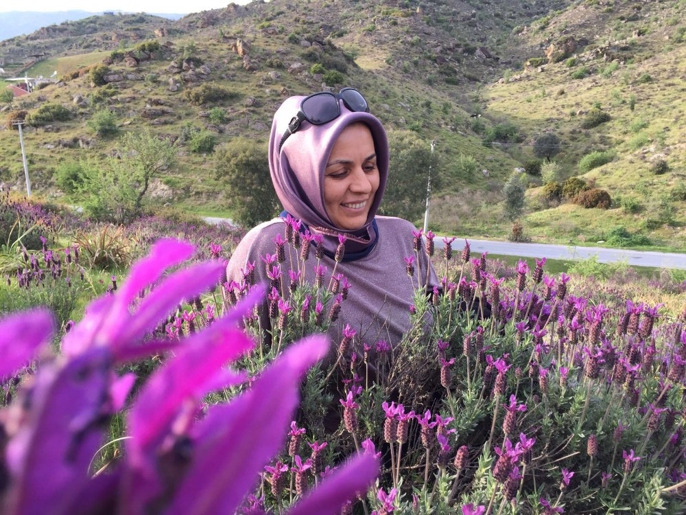 Doğal şifa kaynağı ama sadece çiçek olarak görülüyor 