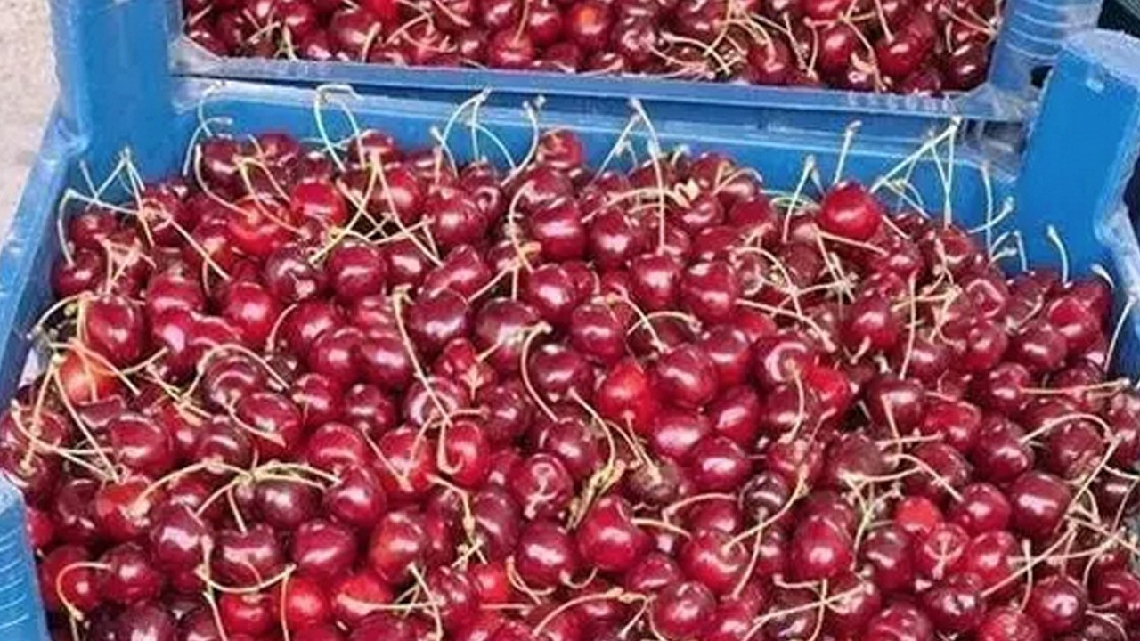 Doğal tansiyon ilacı: Bunu bilenler tansiyon ilacını terk ediyor!