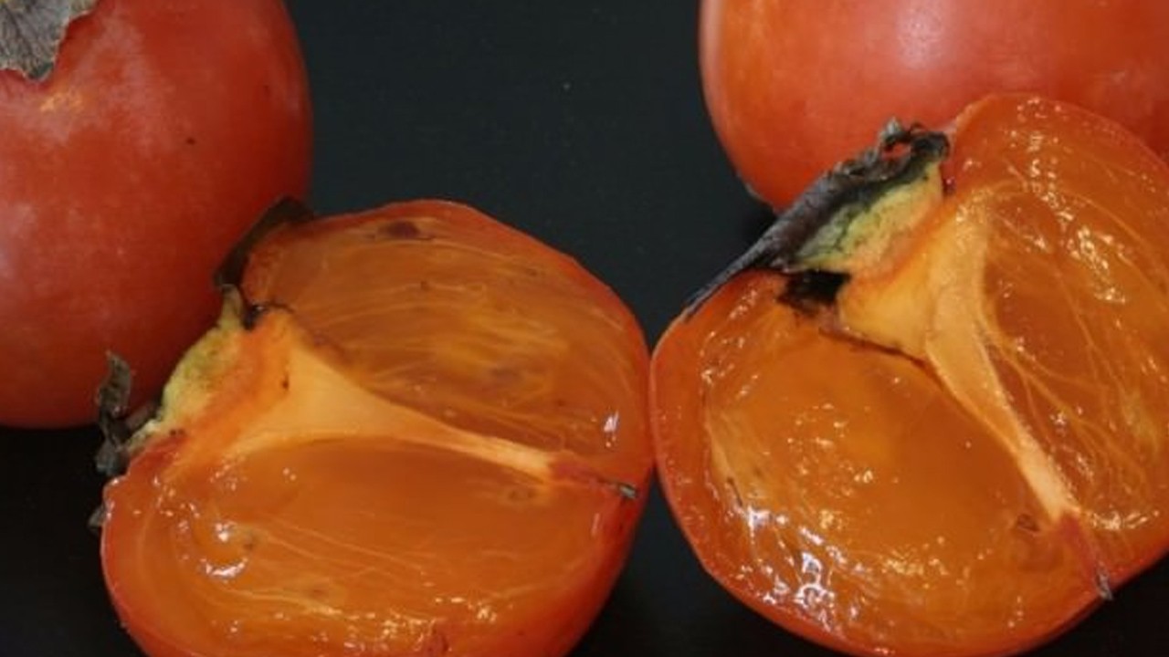 Doğal yöntemlerle kurutuluyor: Cennet hurması hasadı başladı! Trabzon hurması hurmasının faydaları