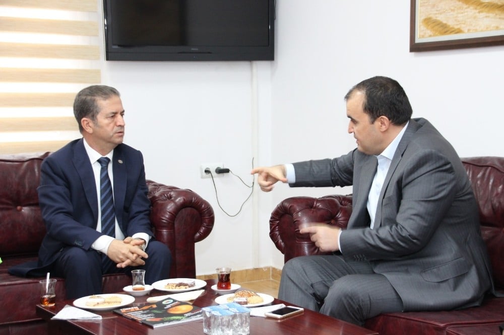 Doğan: 