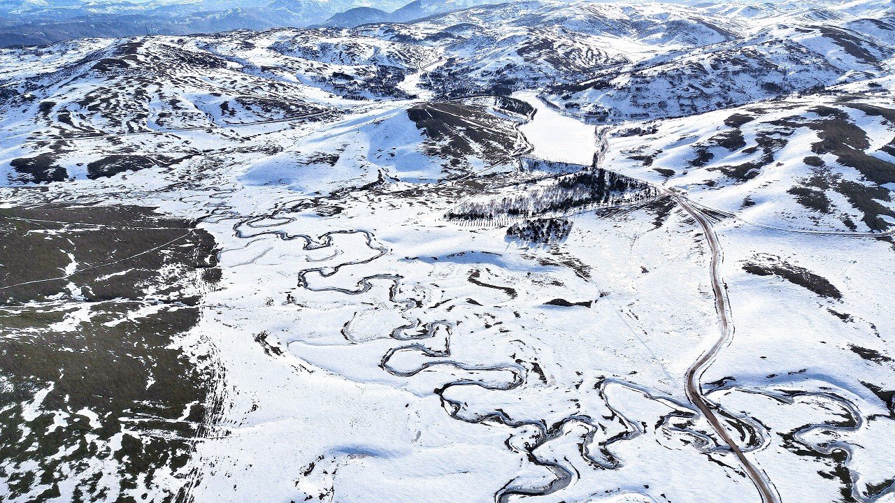 Doğanın damarları böyle görüntülendi