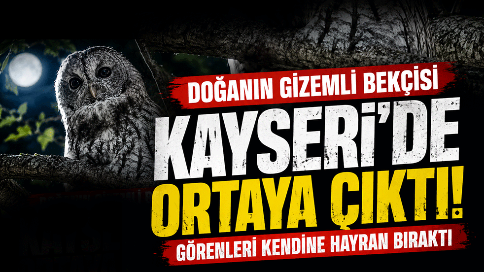 Doğanın gizemli bekçisi Kayseri’de ortaya çıktı! Görenleri kendine hayran bıraktı