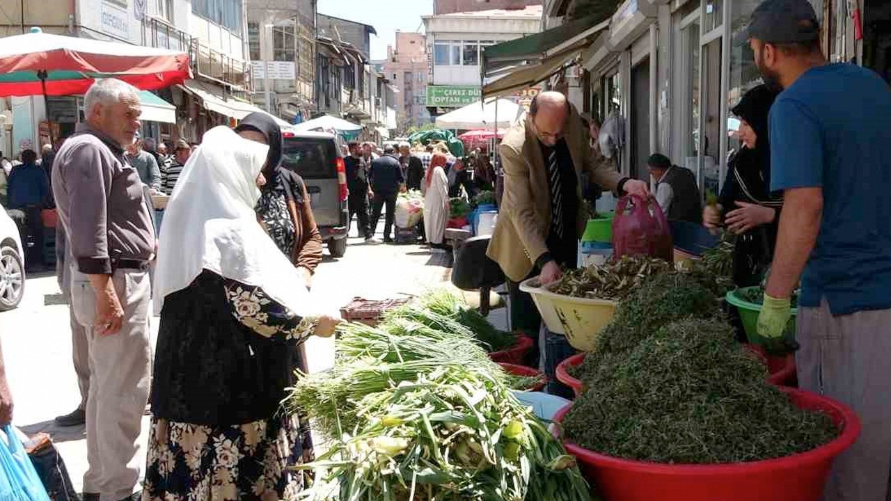 Doğanın hazinesi: Dağlardan toplanan otlar hem şifa hem kazanç sağlıyor