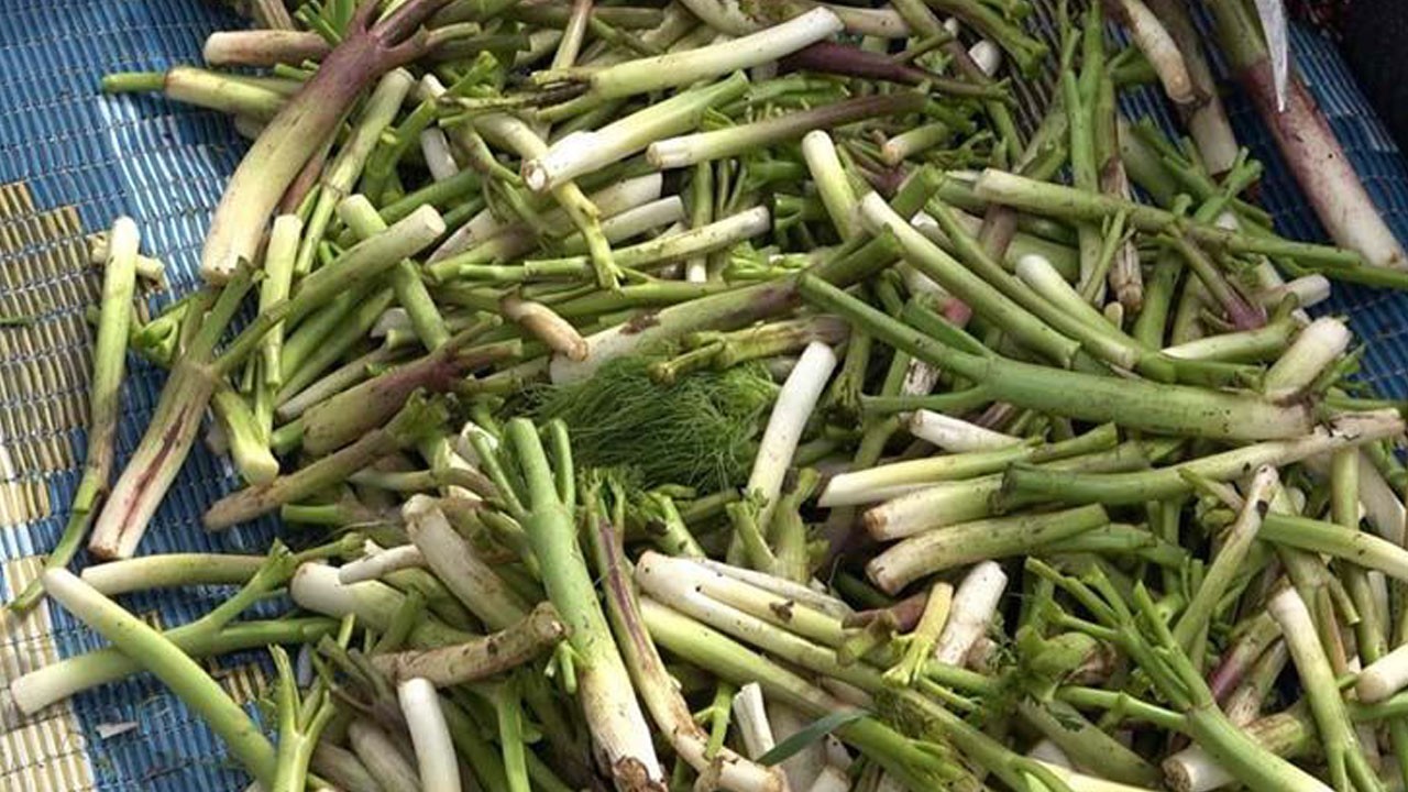 Doğanın hazinesi zehre dönüşmesin! Siz siz olun bunlardan uzak durun