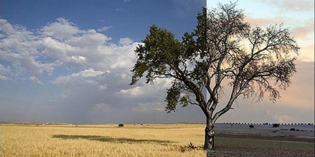Doğanın iki farklı yüzü - FOTO