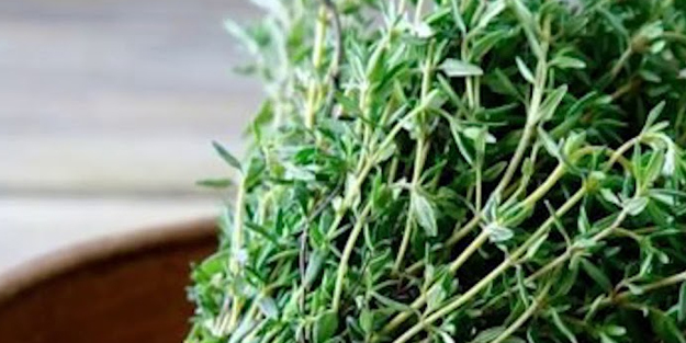 Doğanın şifalı hazinesi olabileceği düşünülen kaynağı tespit ettiler!