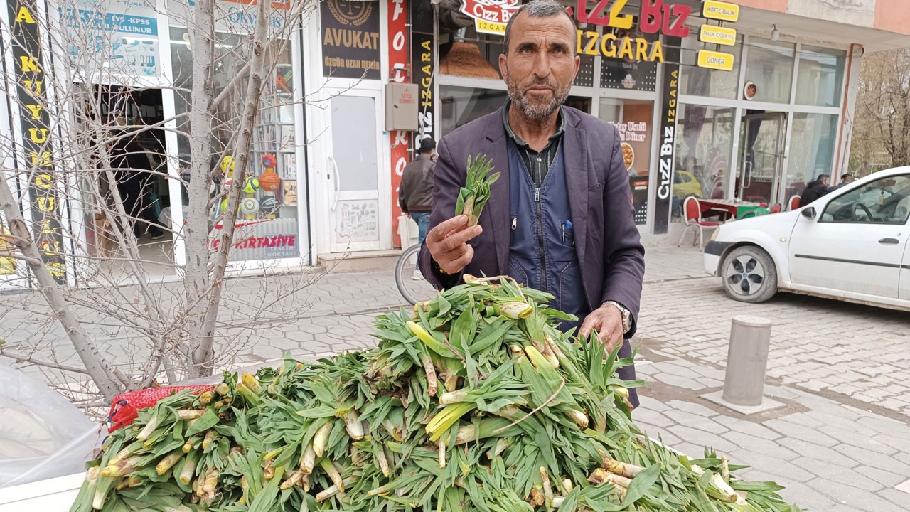 Doğanın şifası dağlardan tezgaha indi