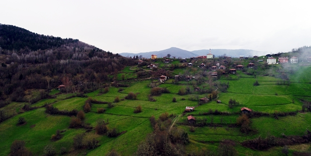 Doğanın yeşile doyduğu yer: Küre Dağları