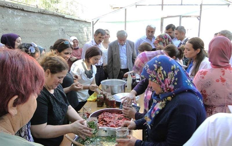 Doğanşehir’de kapya biber hasadı başladı 