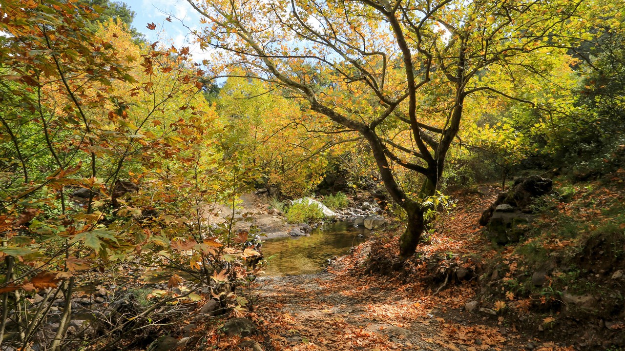 Doğaseverler buraya! Yunt Dağları’nda sonbahar tablosu