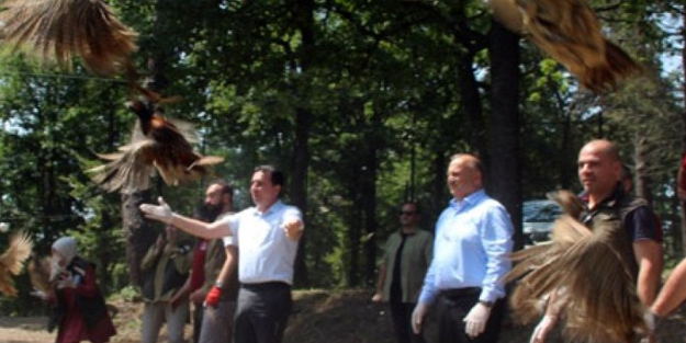 Doğaya bırakıldı: O ilimizde binlerce canlı hayvan salındı! Mücadele devam ediyor