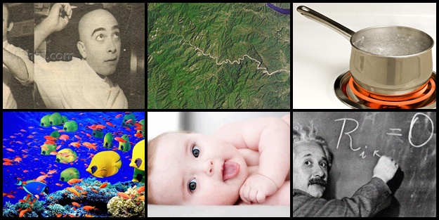 Doğru biliyorsunuz ama yanlış! - FOTO