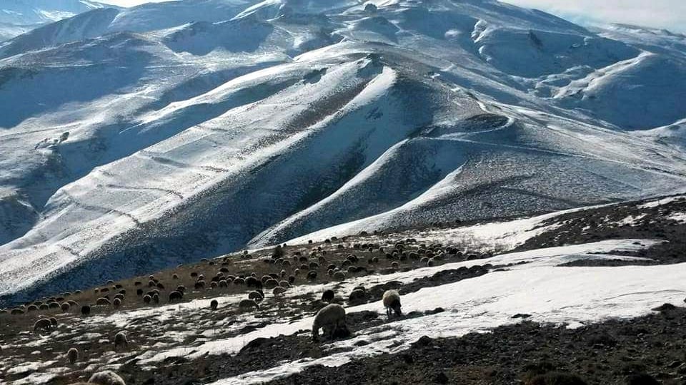 Doğu Anadolu’da kar yağışı 