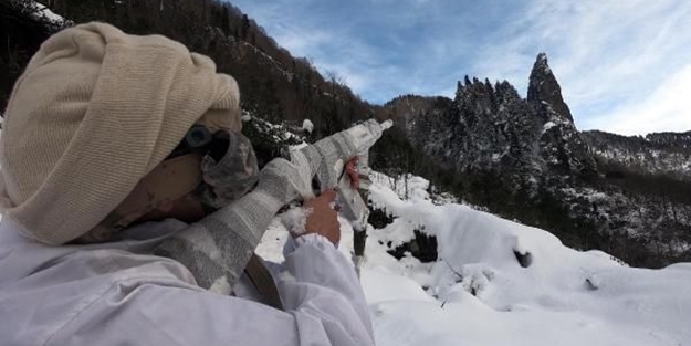 Doğu Karadeniz'de 4 ilde aynı anda operasyon!