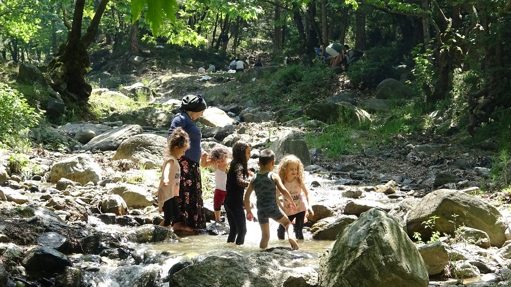 Doğu Karadeniz’de hava sıcaklığı mevsim normallerinin üzerine çıktı 