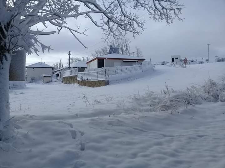 Doğu Karadeniz’de kuvvetli yağmur ve yoğun kar uyarısı 