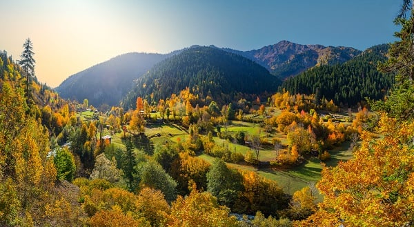 Doğu Karadeniz’in doğal sit alanı: Papart Vadisi