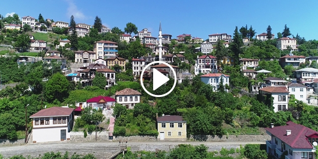 Doğu Karadeniz’in Safranbolusu: 