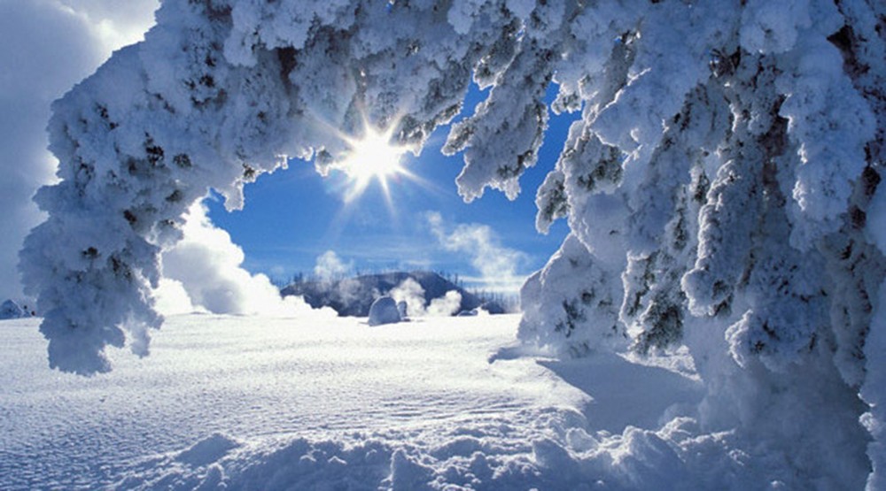 Doğu Karadeniz'in yüksek rakımlı yaylalarına kar yağdı