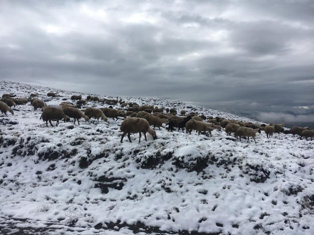 Doğu’da hava sıcaklığı geceleri eksiye düştü 