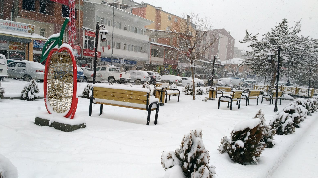 Doğu'da kar yağışı etkili oldu!